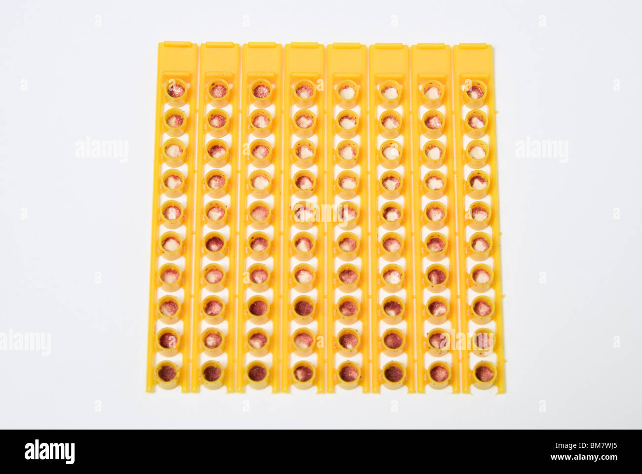 Tappi per pistola giocattolo Foto Stock