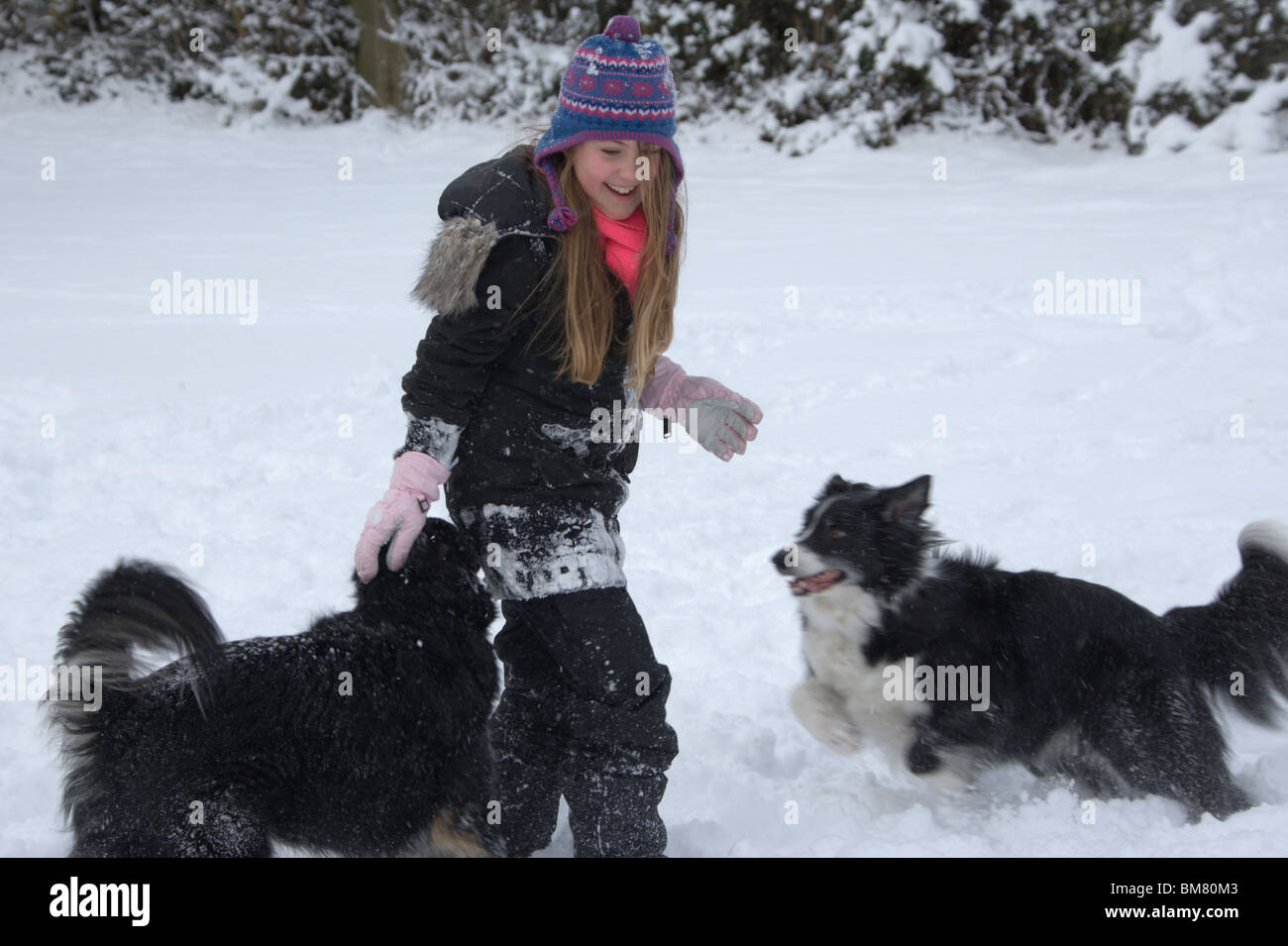 Ragazza giovane giocando sulla neve con i cani Foto Stock