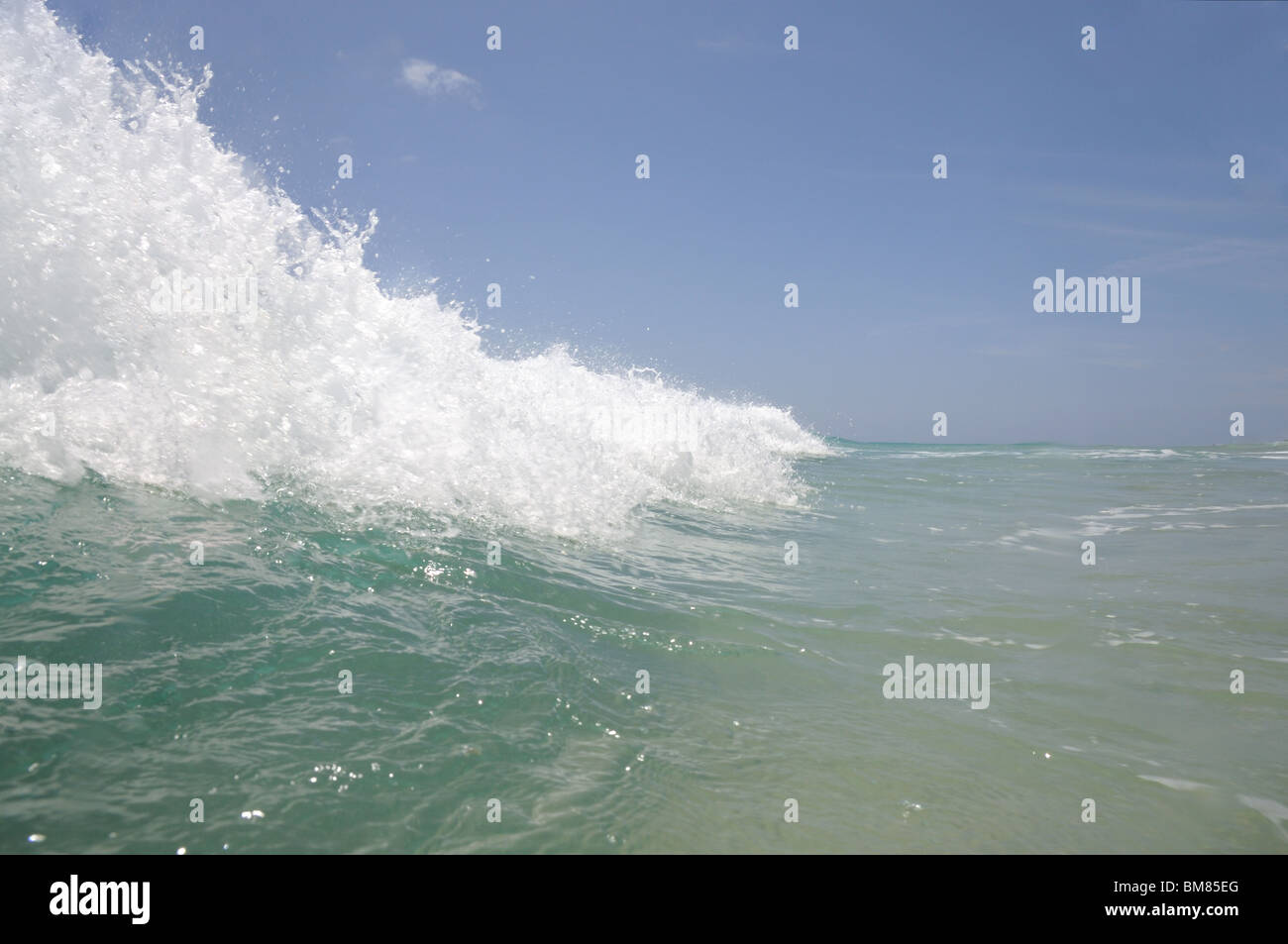 Primo piano di un oceano onda Foto Stock