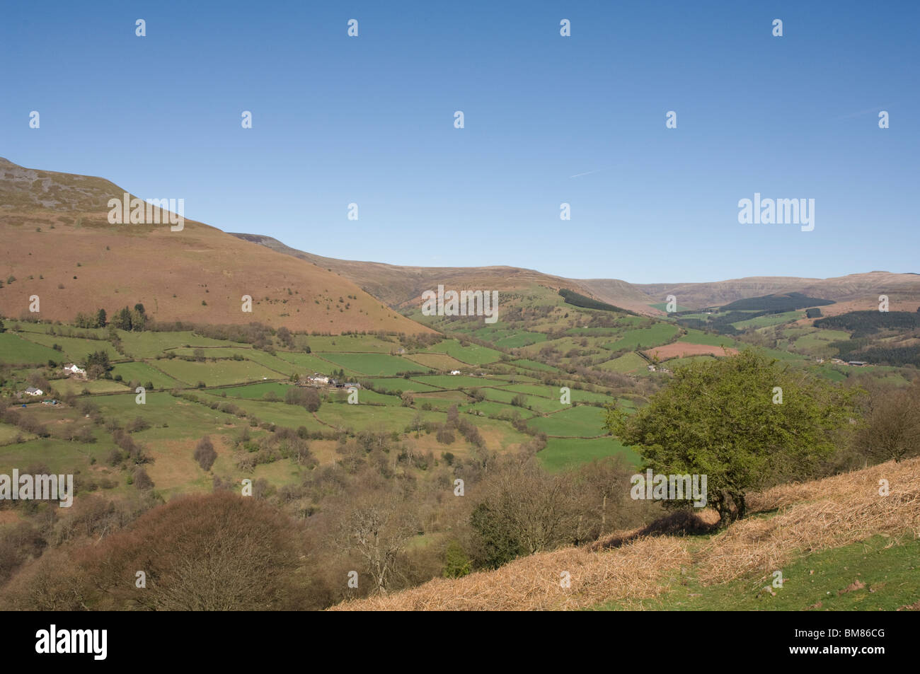 Pen Allt-mawr e Waun Fach, passeggiate in montagna nera, Wales, Regno Unito, Europa Foto Stock