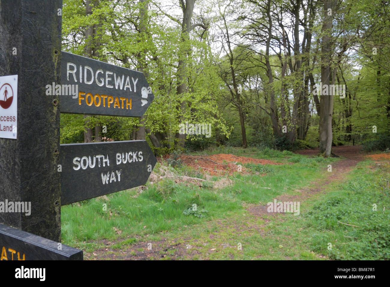 Segno post indicando la via lungo la Ridgeway National Trail sentiero vicino Wendover, Chilterns, UK. Maggio 2010 Foto Stock