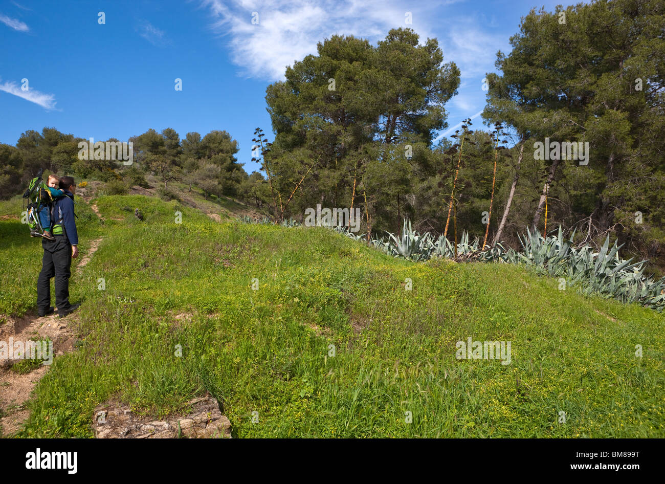 Parque Natural Montes de Málaga. Andalusia. Spagna. Foto Stock