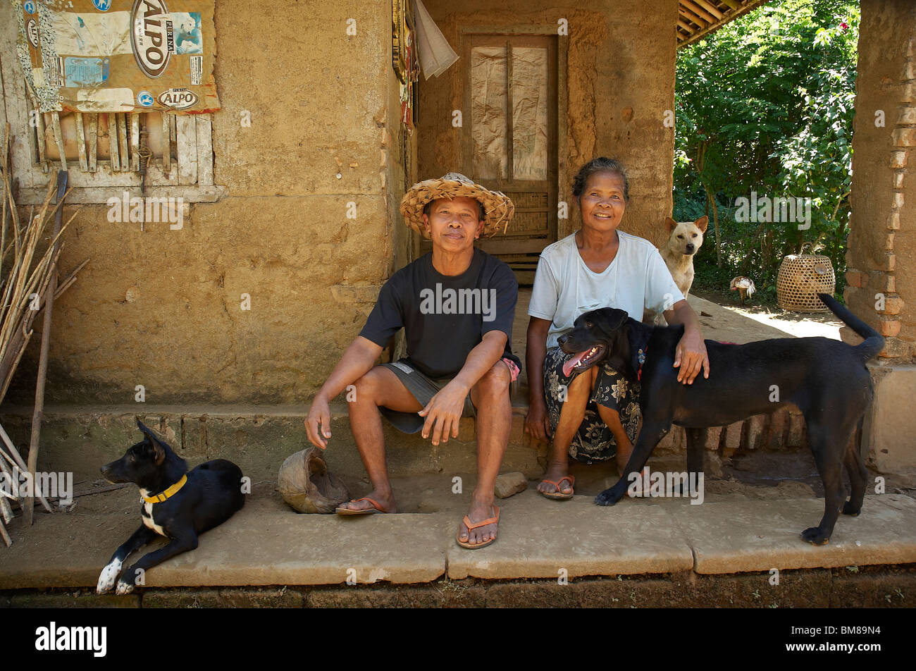 Design Balinese locali con i loro cani Foto Stock