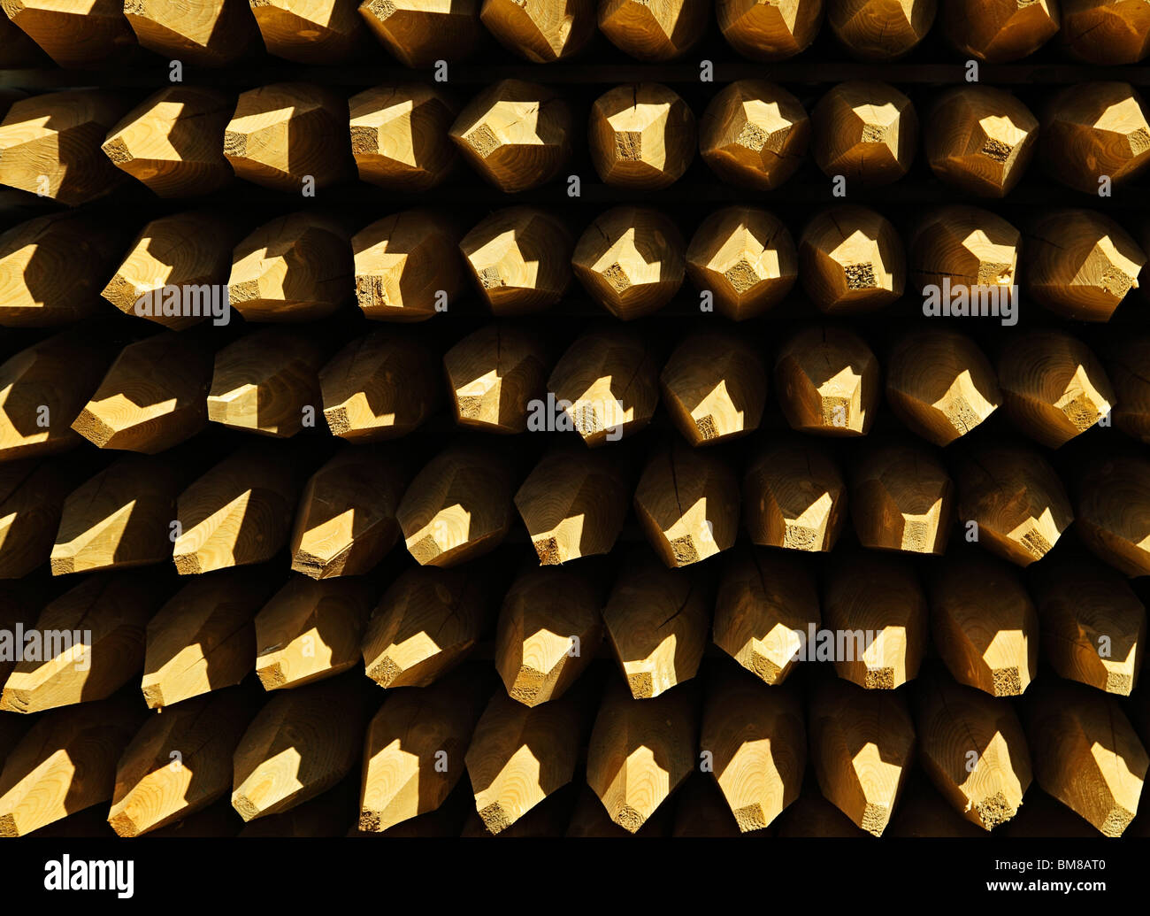 Sottolineato pali in legno. Foto Stock