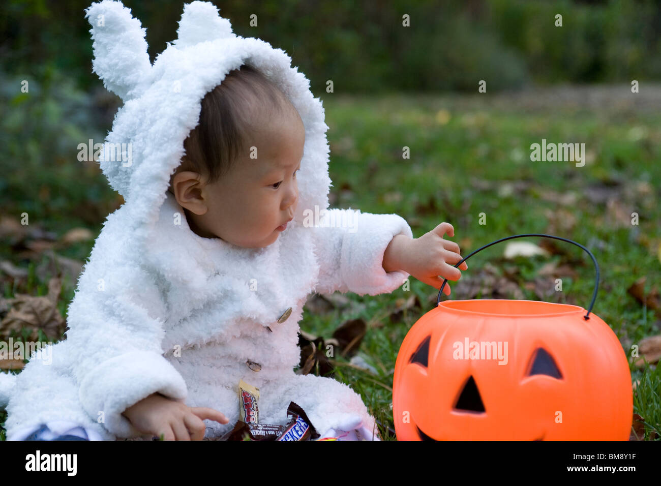 Asian baby boy vestito in costume di lupo per Halloween Foto Stock