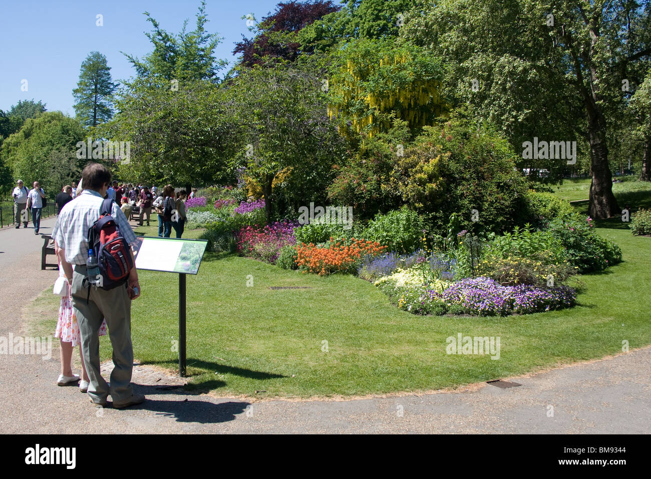 Il visitatore per la lettura di informazioni scheda alberi di fiori Foto Stock