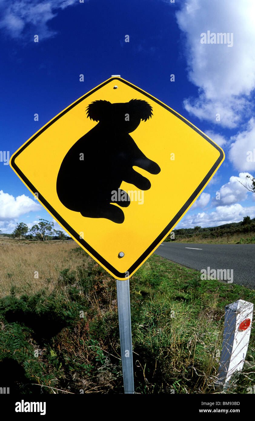 Australia, Victoria Road, segno, Koala. Foto Stock