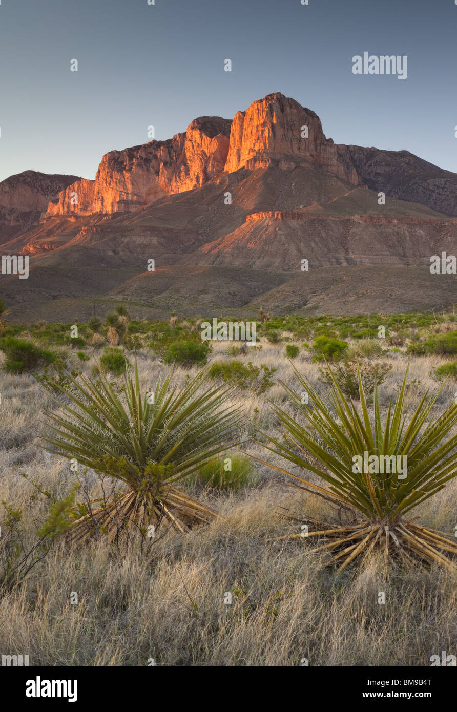 El Capitan, Parco Nazionale delle Montagne Guadalupe, Texas Foto Stock