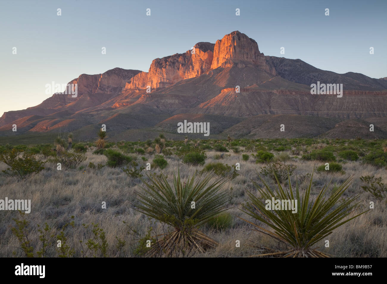 El Capitan, Parco Nazionale delle Montagne Guadalupe, Texas Foto Stock