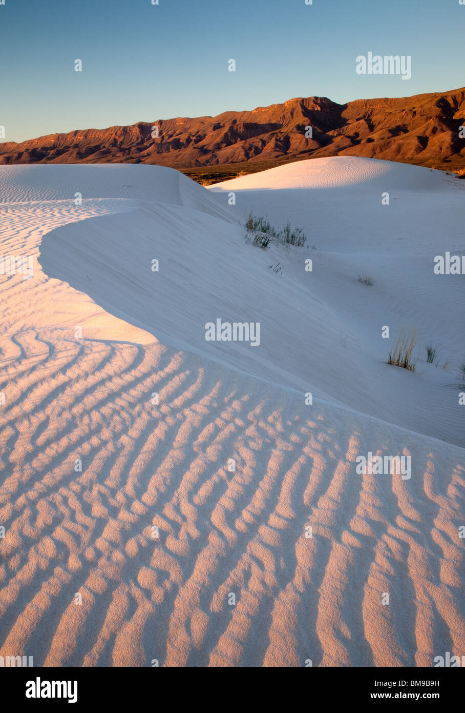 Bacino di sale di dune e Parco Nazionale delle Montagne Guadalupe, Texas Foto Stock