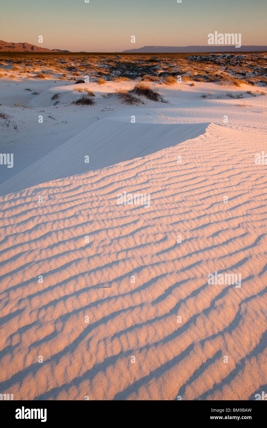Bacino di sale di dune e Parco Nazionale delle Montagne Guadalupe, Texas Foto Stock