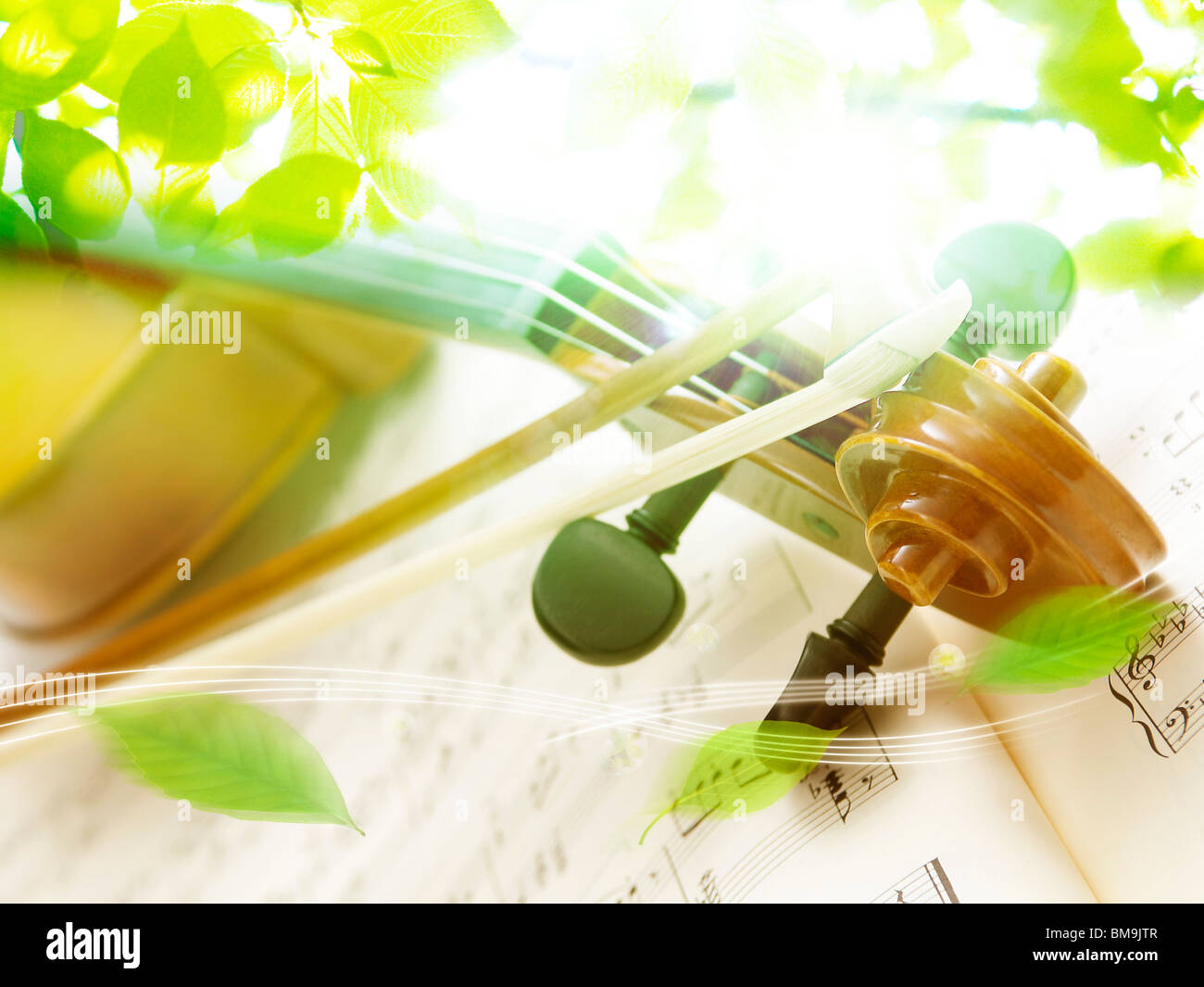 Immagine di foglie e violino, computer graphic Foto Stock