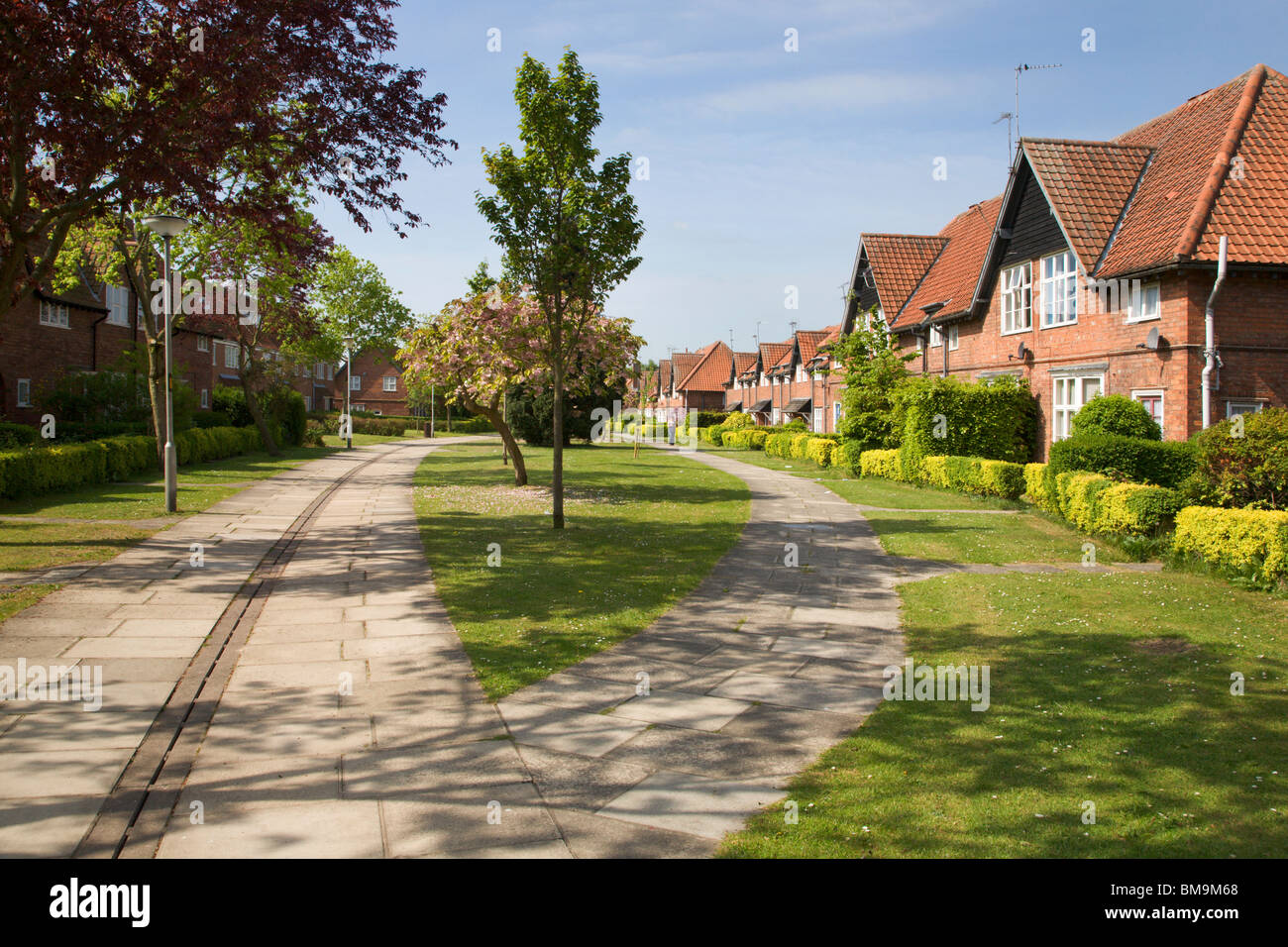 Castagneto Earswick New York Yorkshire Inghilterra Foto Stock