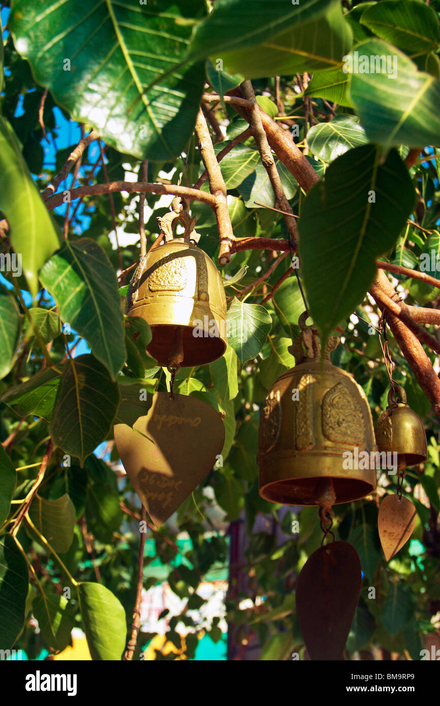 Phuket - campanelle in alberi attorno al Grande Buddha, un monumento in colline Nakkerd Foto Stock