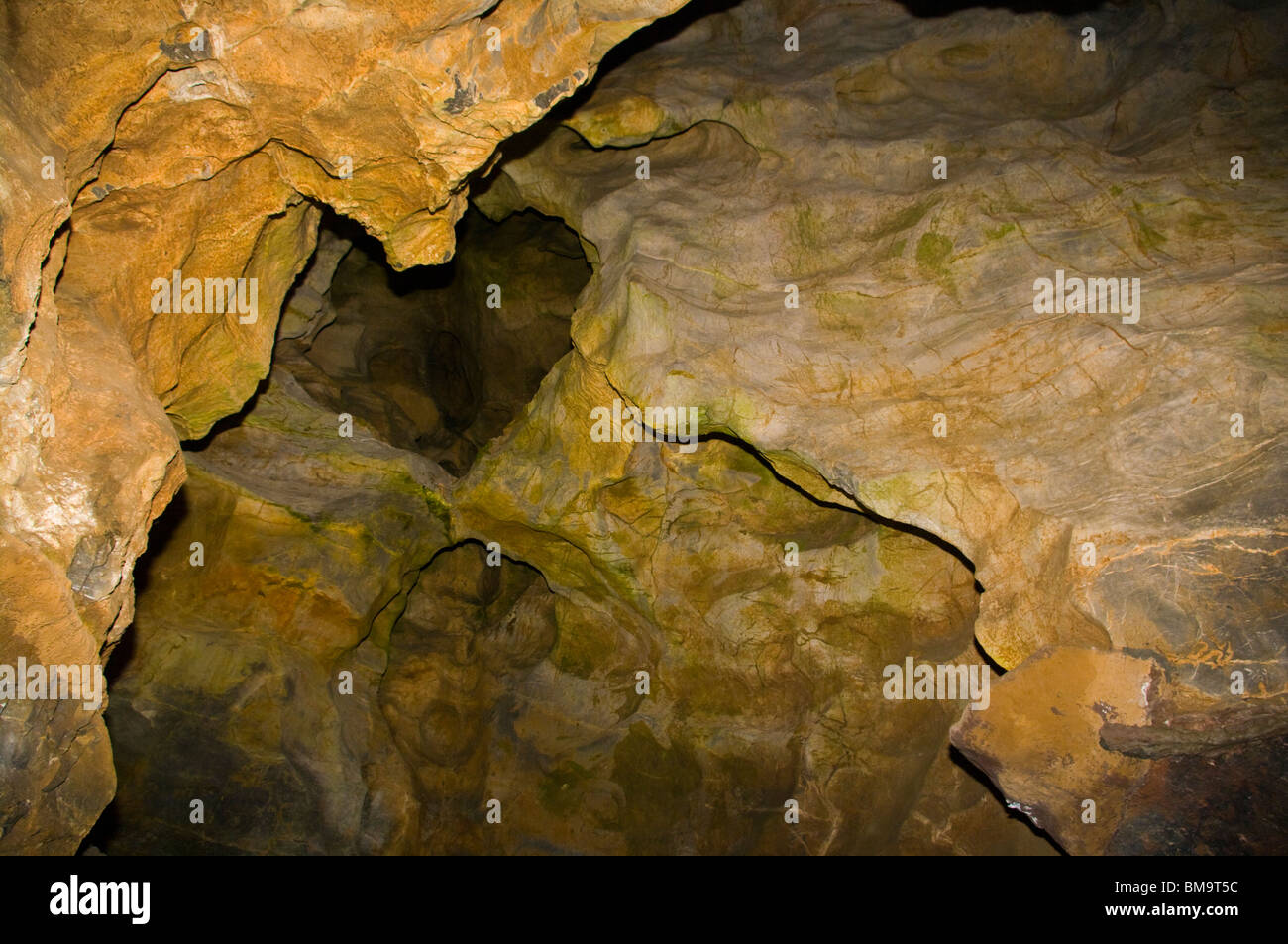 Roccia calcarea formazione nella grotta Goughs Cheddar Gorge Somerset Inghilterra Foto Stock