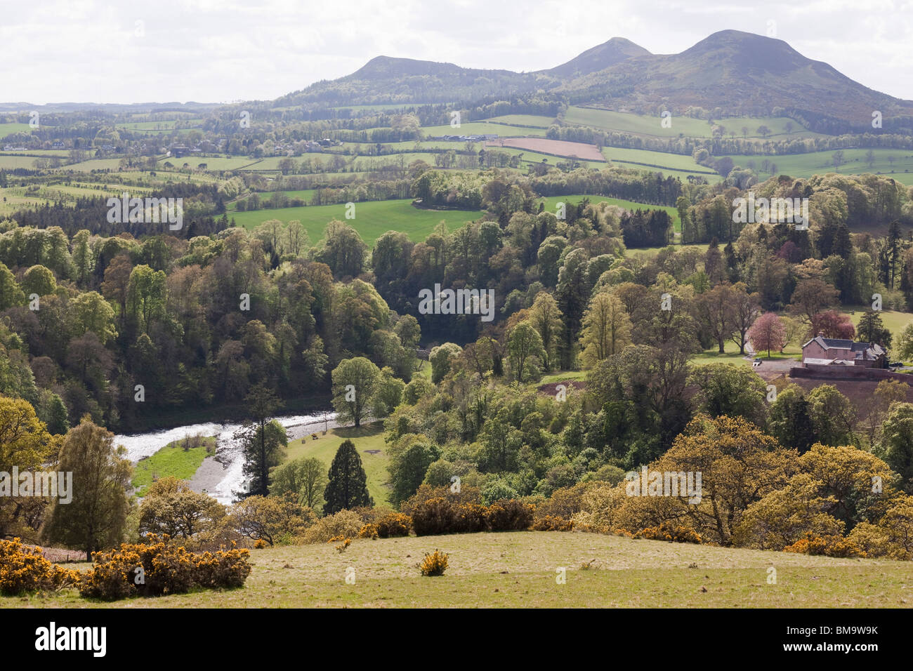 Il Eildon Hills in Scottish Borders Regno Unito in primavera - Scott della visione del Tweed in valle e le colline Foto Stock