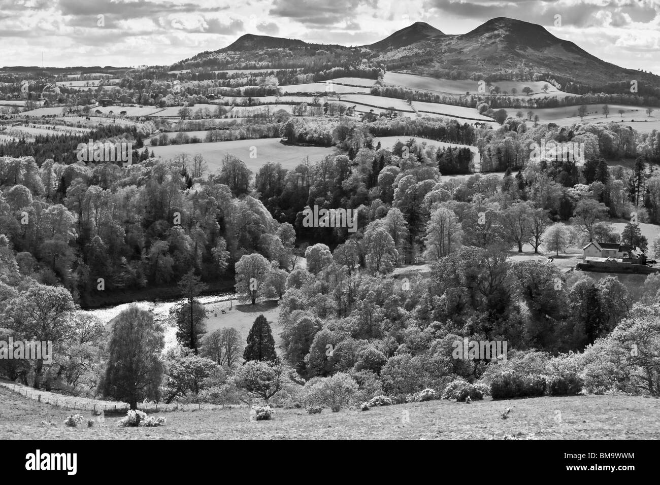 Il Eildon Hills in Scottish Borders Regno Unito in primavera - Scott della visione del Tweed in valle e le colline - infrarossi b&W Foto Stock