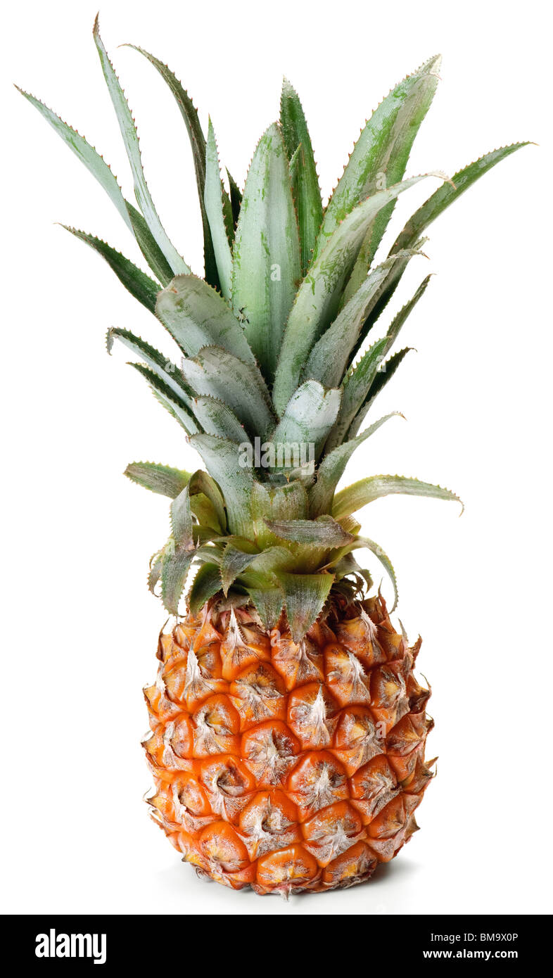 Ananas frutta tropicale isolata su sfondo bianco Foto Stock