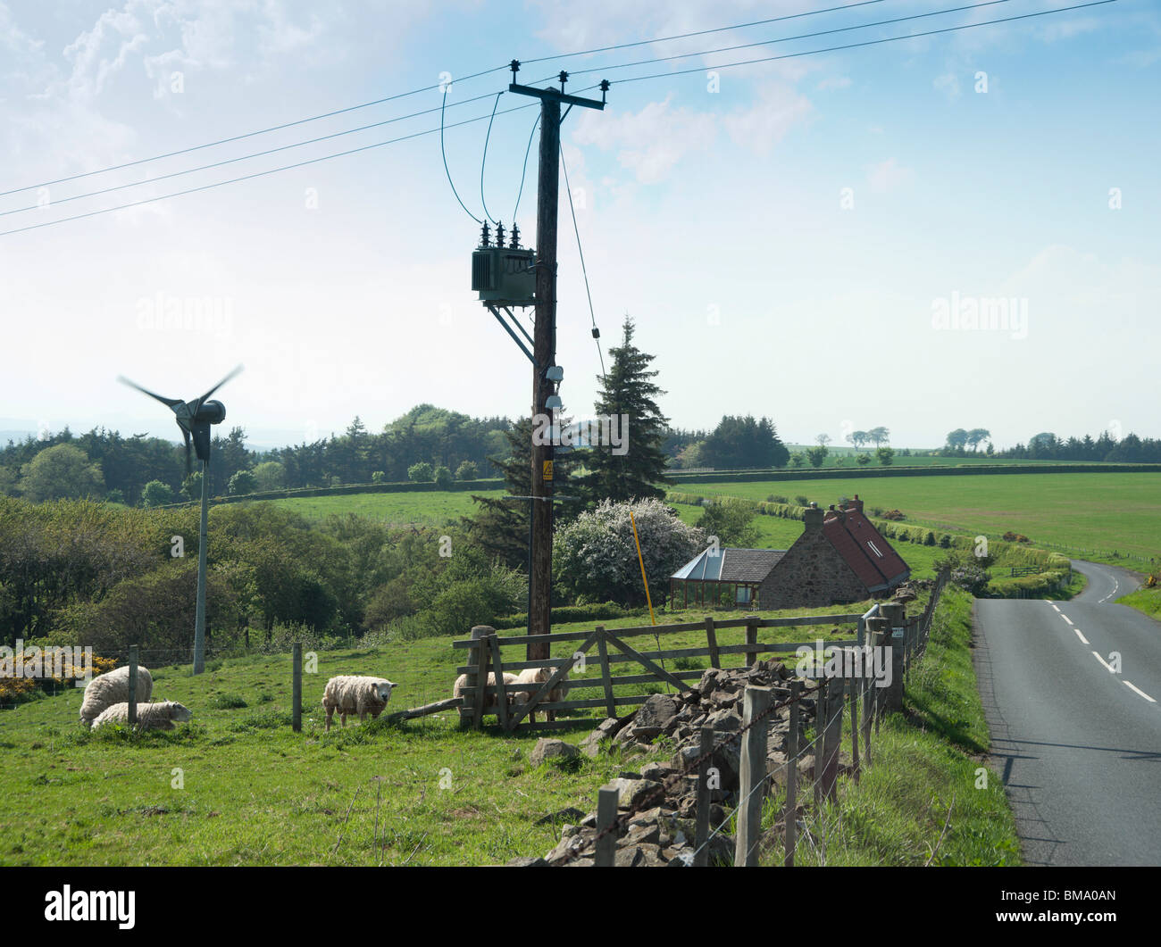 Turbina per la generazione di energia dal vento - un smallholding vicino Gifford, East Lothian, Scozia con pecore e generatore, alimentazione di rete Foto Stock