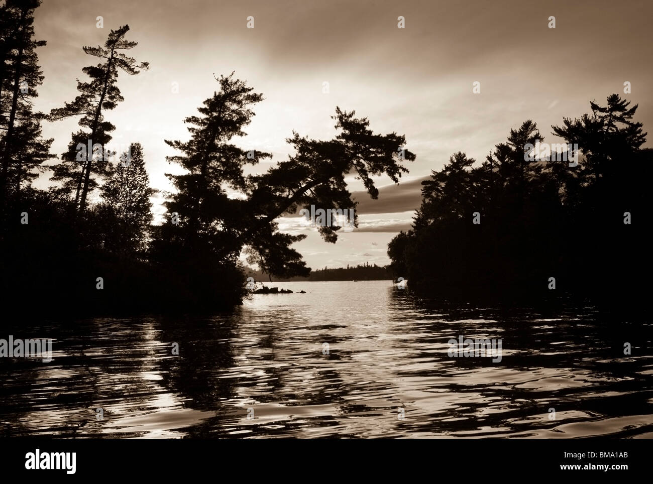 Il lago dei boschi, Ontario, Canada Foto Stock