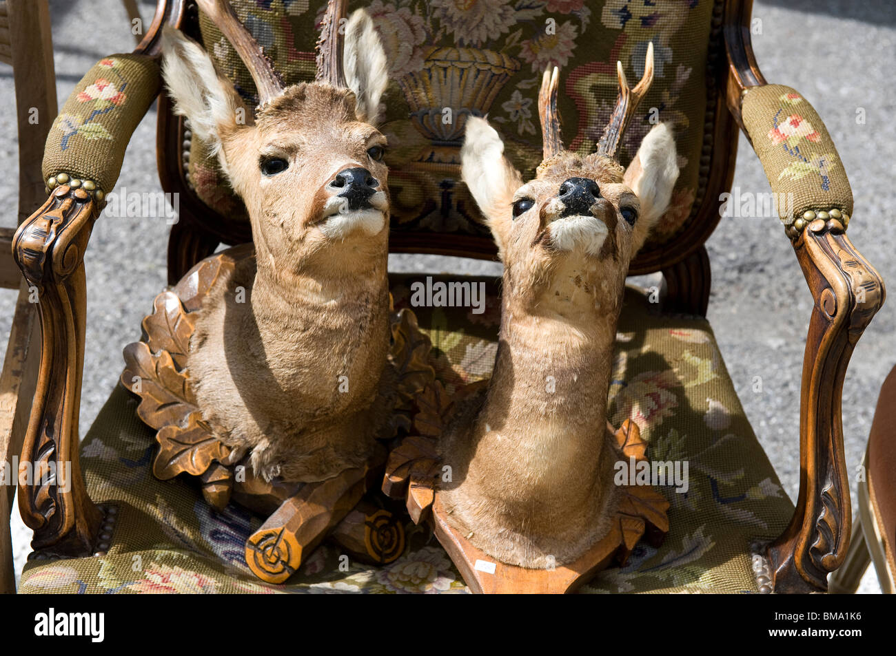 Farcite le teste di cervo sulla sedia nel mercato dell'antiquariato, Locarno, Svizzera Foto Stock