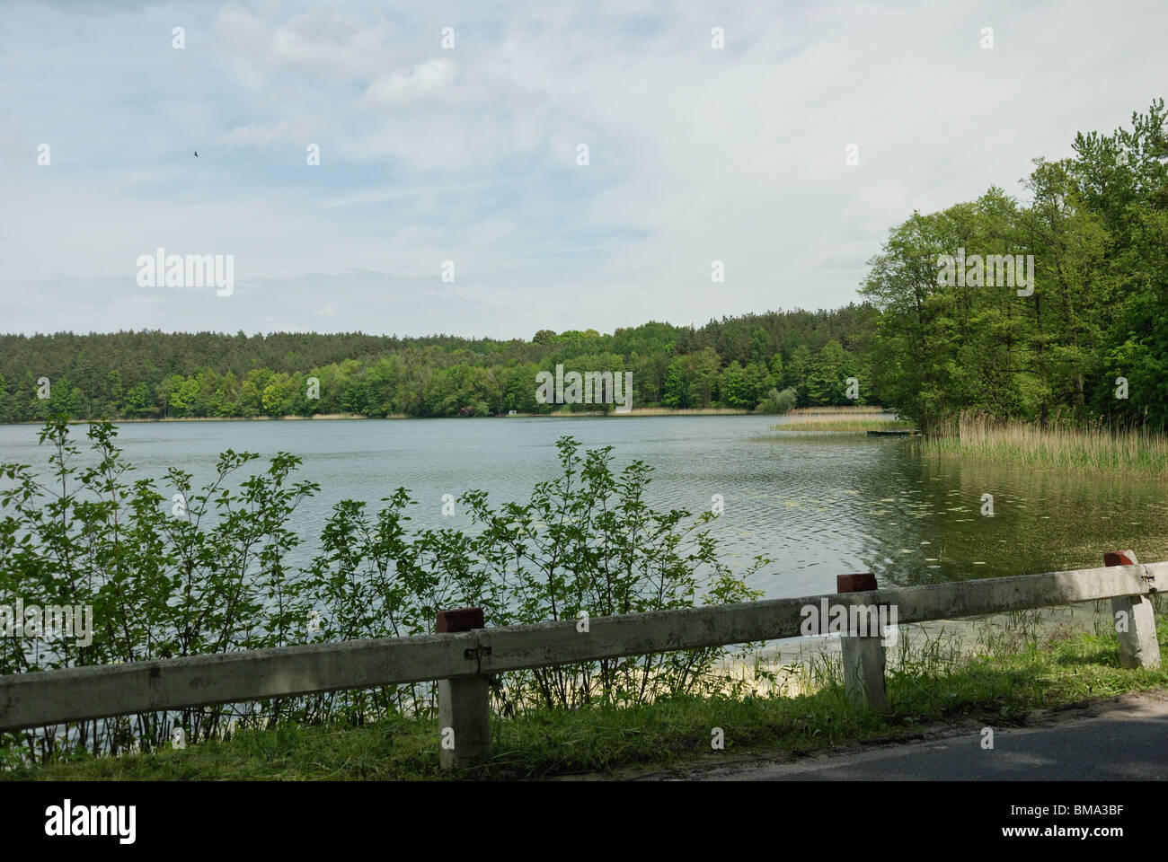 Paesaggi - La Masuria Lake District in Polonia, Europa (Mazury, Polska) - Lago Sosno (Jezioro Sośno) Foto Stock
