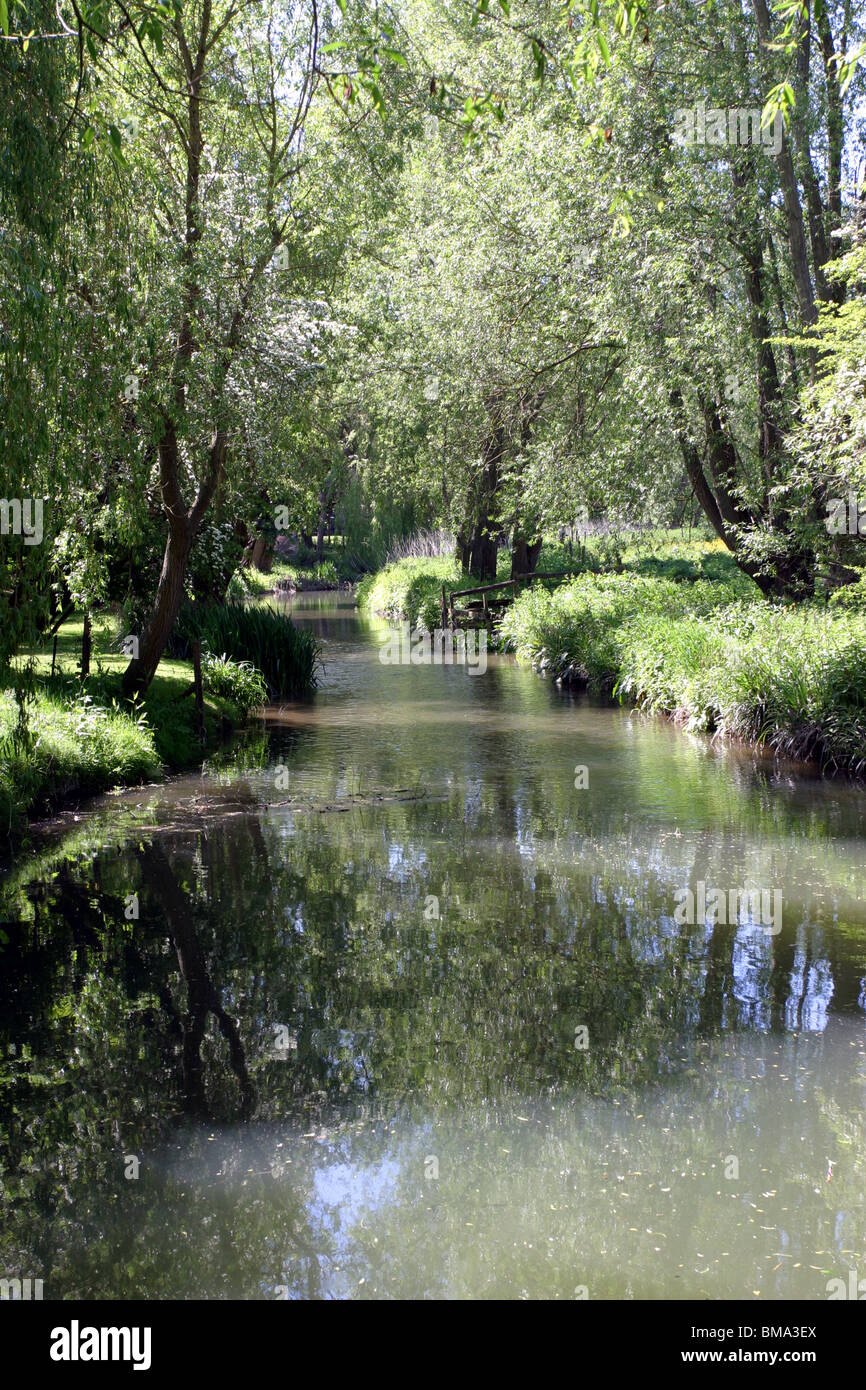 I pesci Pub giardino, Seacourt Stream, North Hinksey, Thames tributario, Oxford, Inghilterra Foto Stock