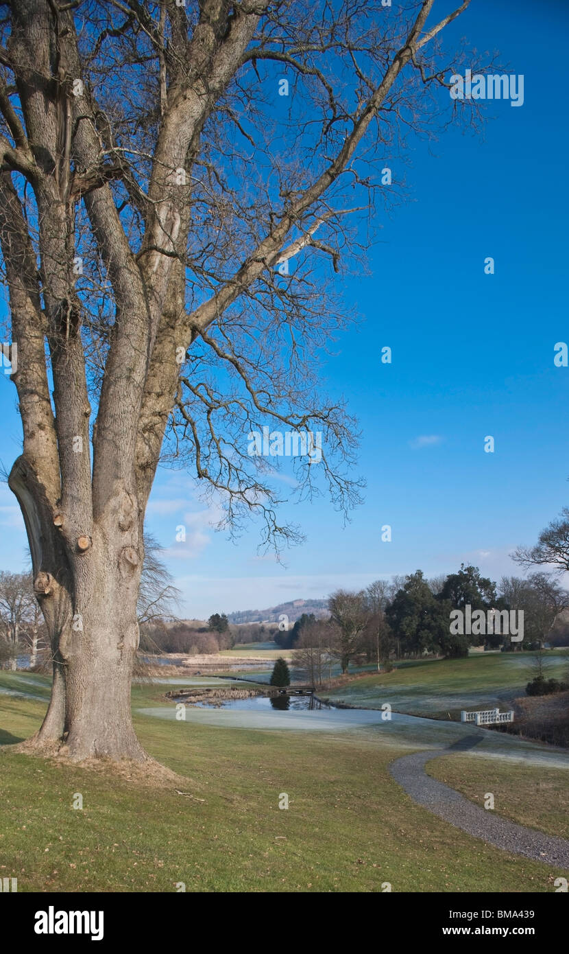 Dumfries Scozia; un sentiero attraverso un parco Foto Stock