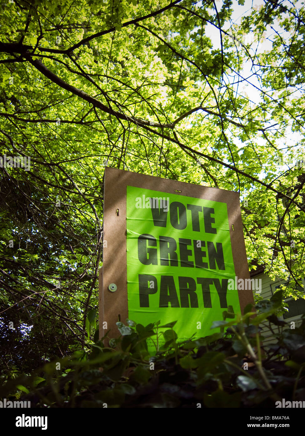 Partito Verde bordo per il 2010 elezioni generali Foto Stock