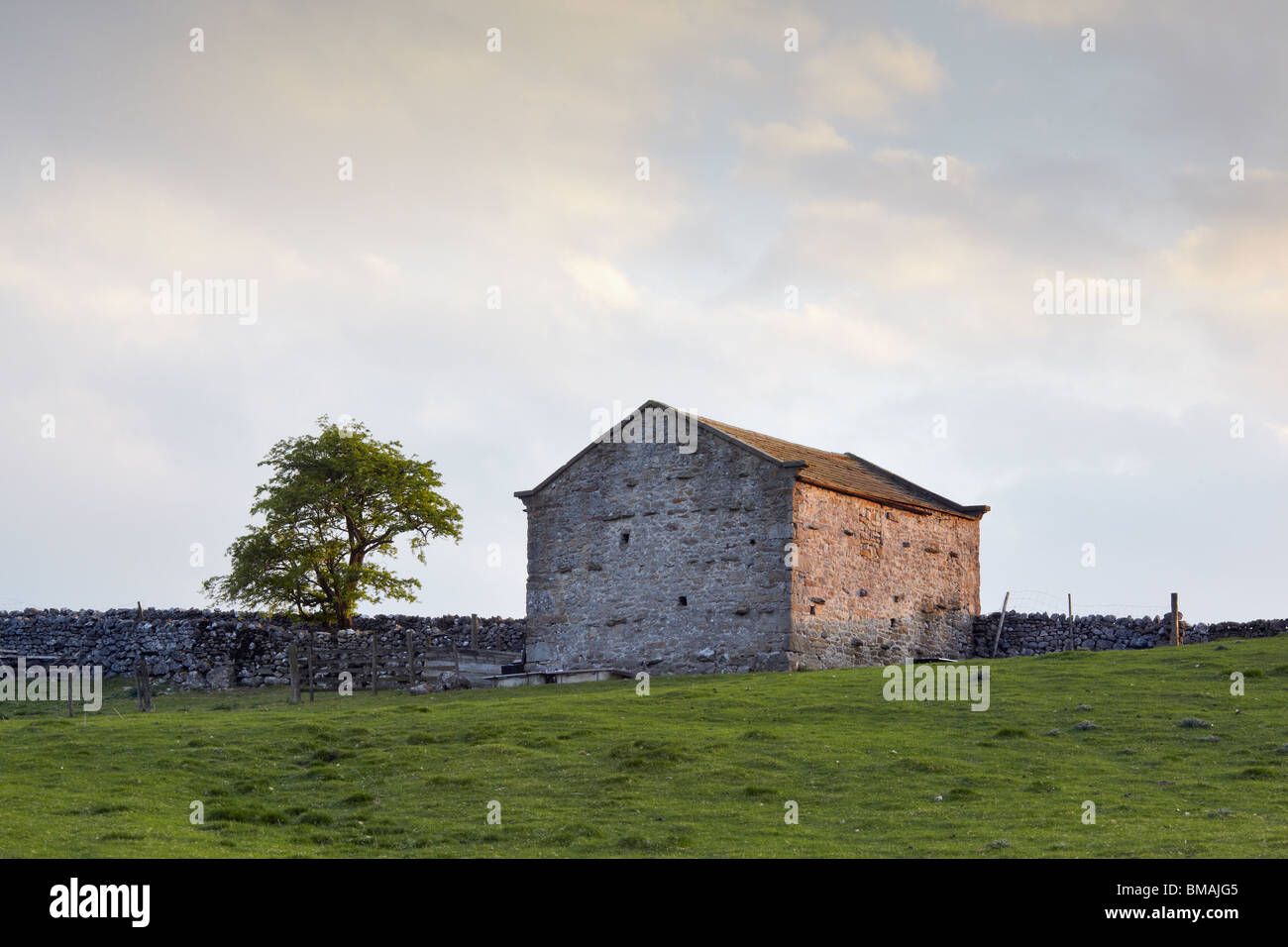 Tipico Yorkshire Dales paesaggio di fienili in pietra e pareti, Wharfedale, Inghilterra Foto Stock