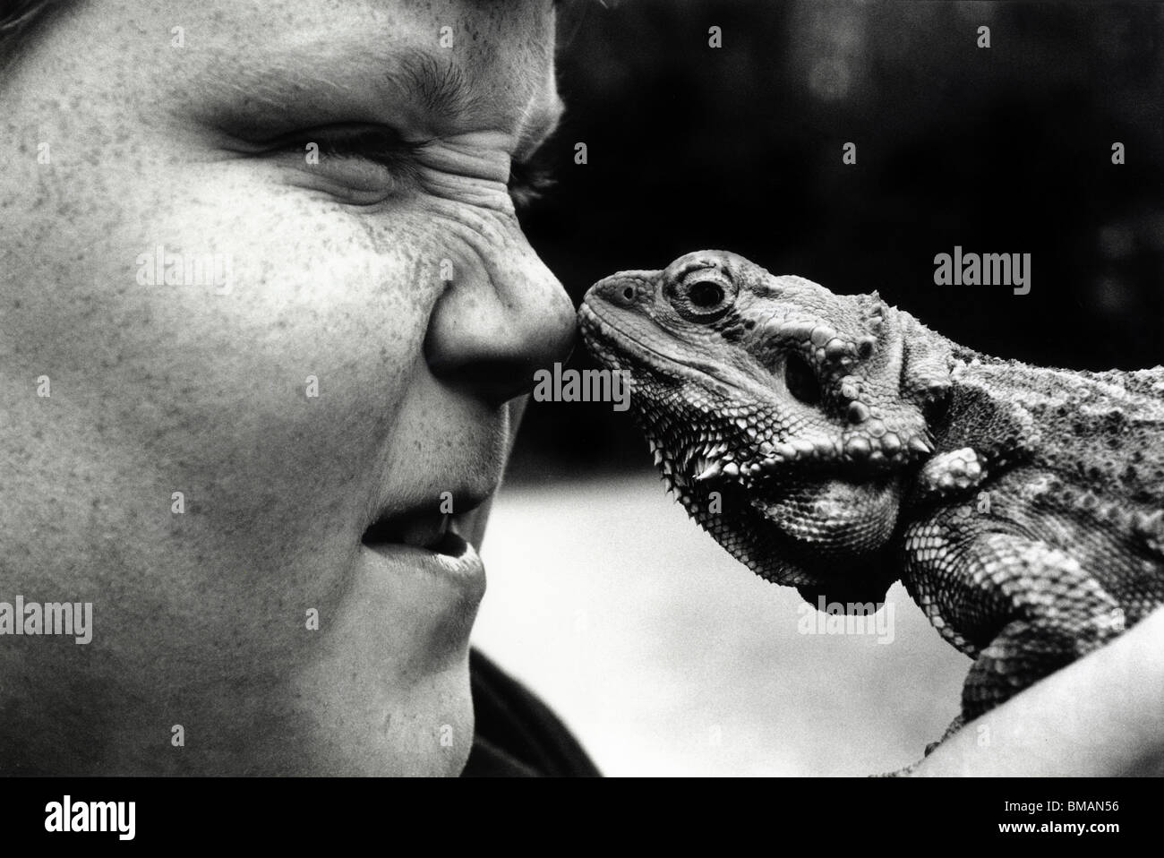 Un ragazzino con lentiggini, naso a naso con un australiano barbuto dragon lizard. Foto Stock
