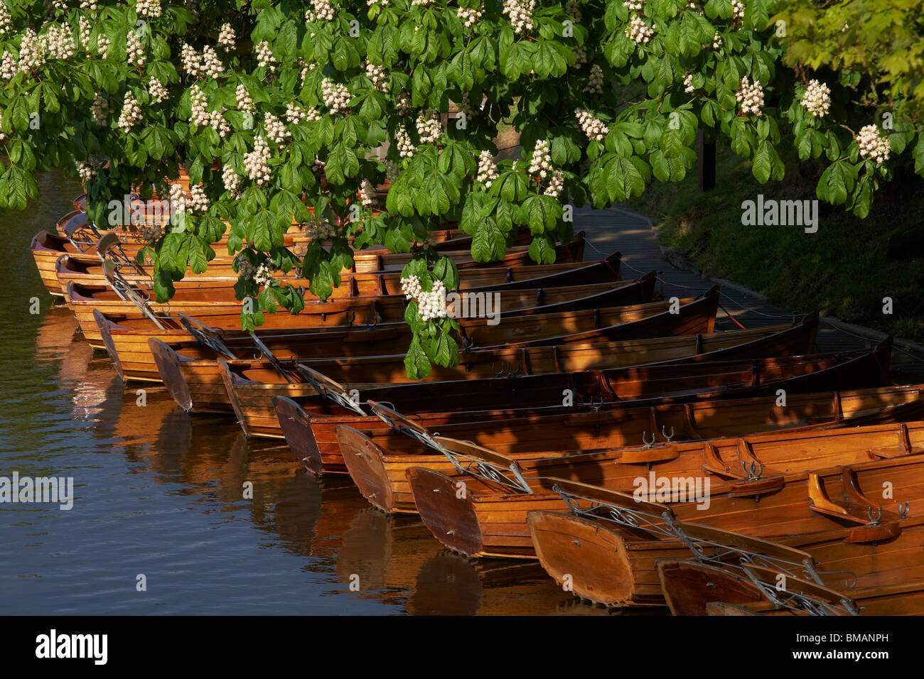 Gran Bretagna Inghilterra Suffolk Essex confini Dedham Fiume Stour Boathouse Constable Country Foto Stock