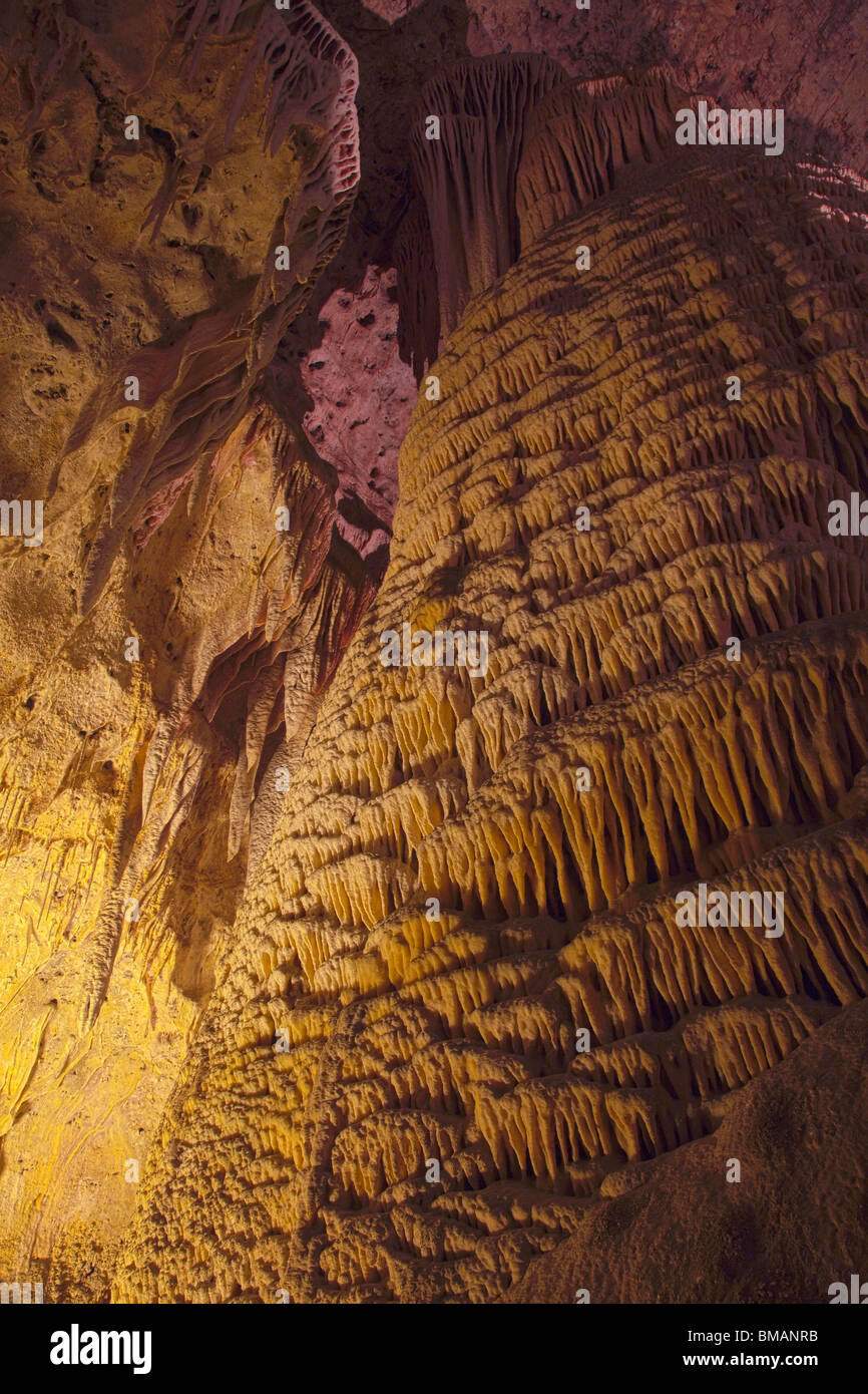 Rock Of Ages, parco nazionale di Carlsbad Cavern, Nuovo Messico Foto Stock