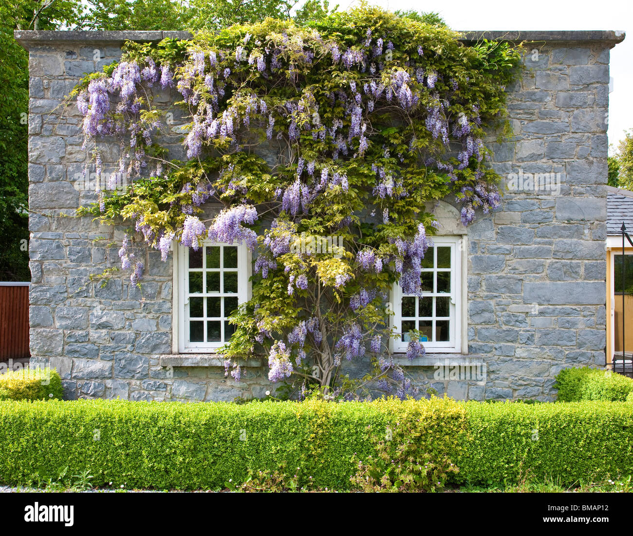 Irish cottage di campagna della contea di Limerick Foto Stock