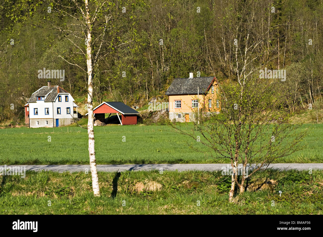 Bella staccata Case norvegesi nella frazione di Boyum con pendio boschivo Fjaerland Norvegia Foto Stock