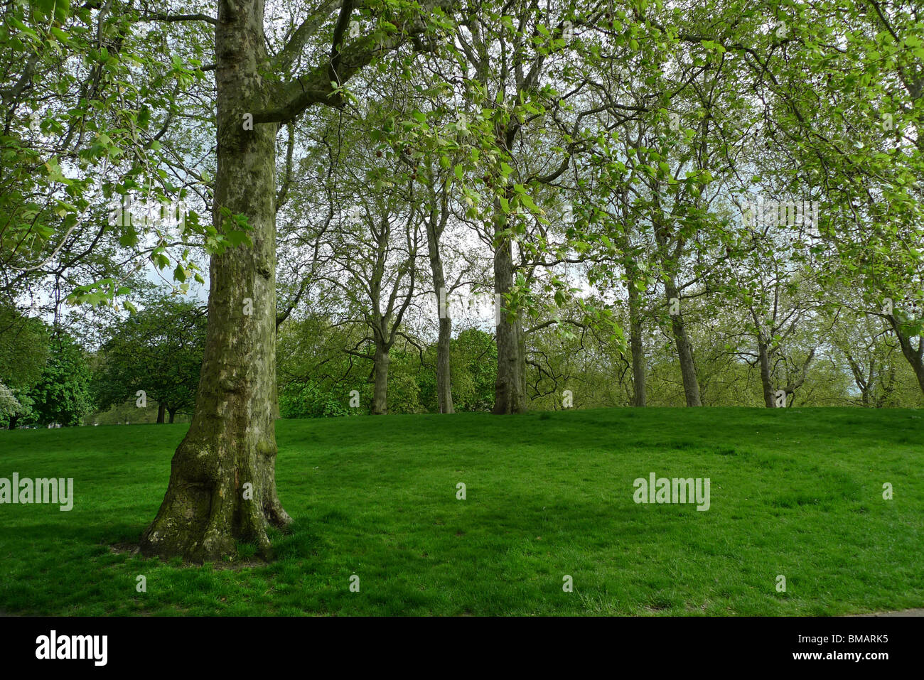 Green Park, Londra Foto Stock