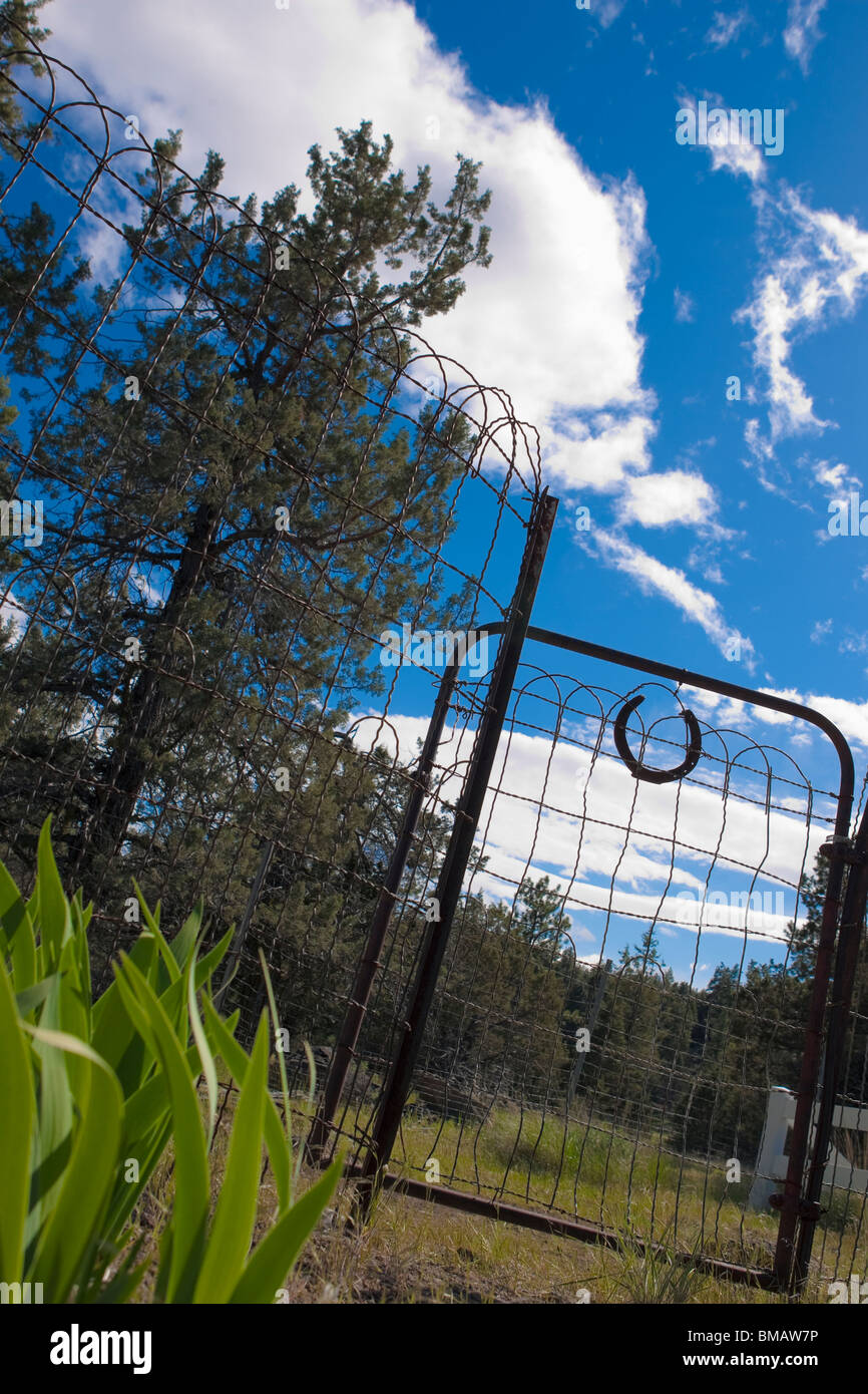 Il ferro di cavallo sulla porta contro il cielo blu con nuvole Foto Stock