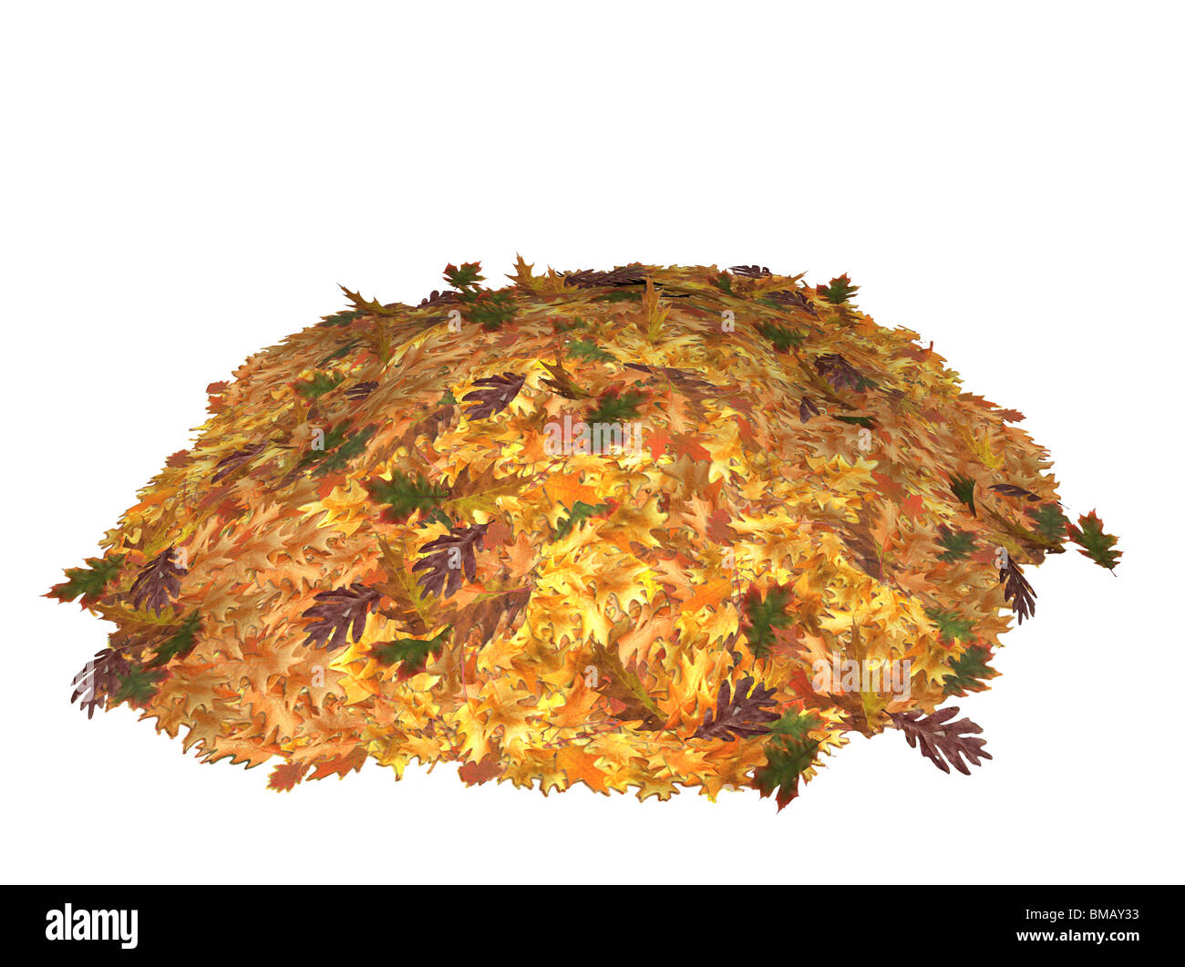 Illustrazione di alcuni quercia foglie, isolata contro uno sfondo bianco Foto Stock