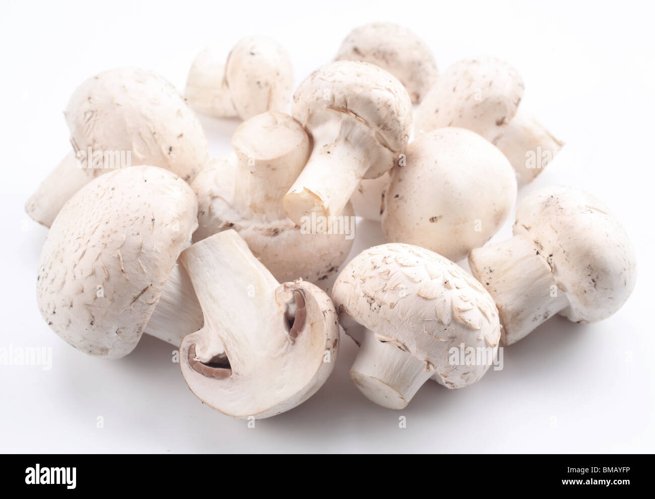 Manciata di champignon su sfondo bianco Foto Stock