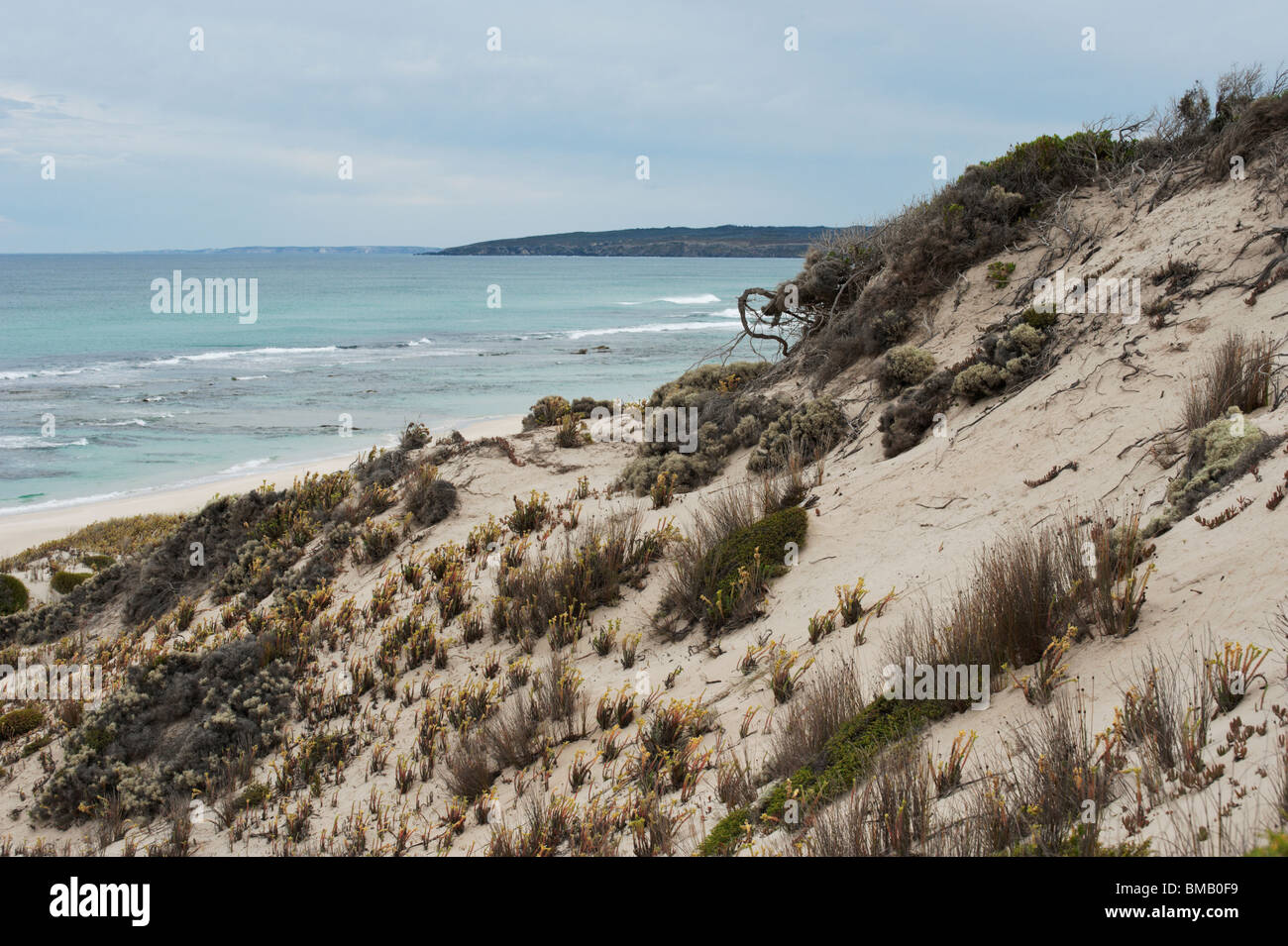 A coastal dune di sabbia sulla riva sud di Kangaroo Island Foto Stock
