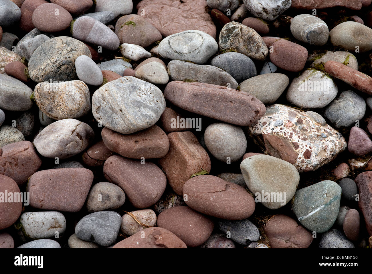 Pietre di fiume. Foto Stock