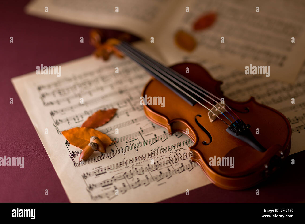 Violino e Acorn Foto Stock