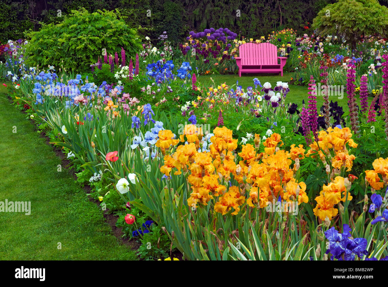 Primavera fiorisce in Shreiners Iris Giardino del display e dell'Oregon Marion County. Foto Stock