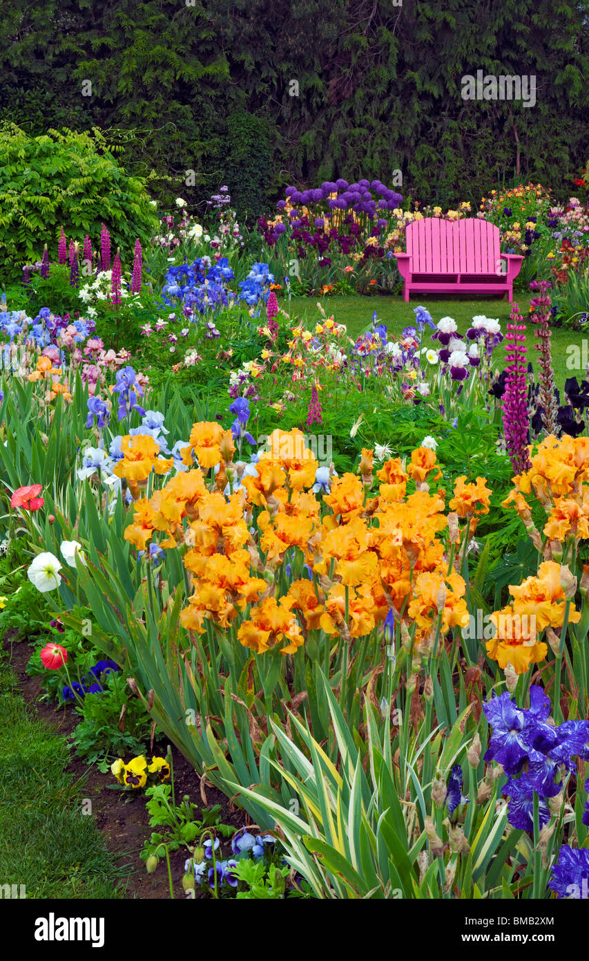 Primavera fiorisce in Shreiners Iris Giardino del display e dell'Oregon Marion County. Foto Stock