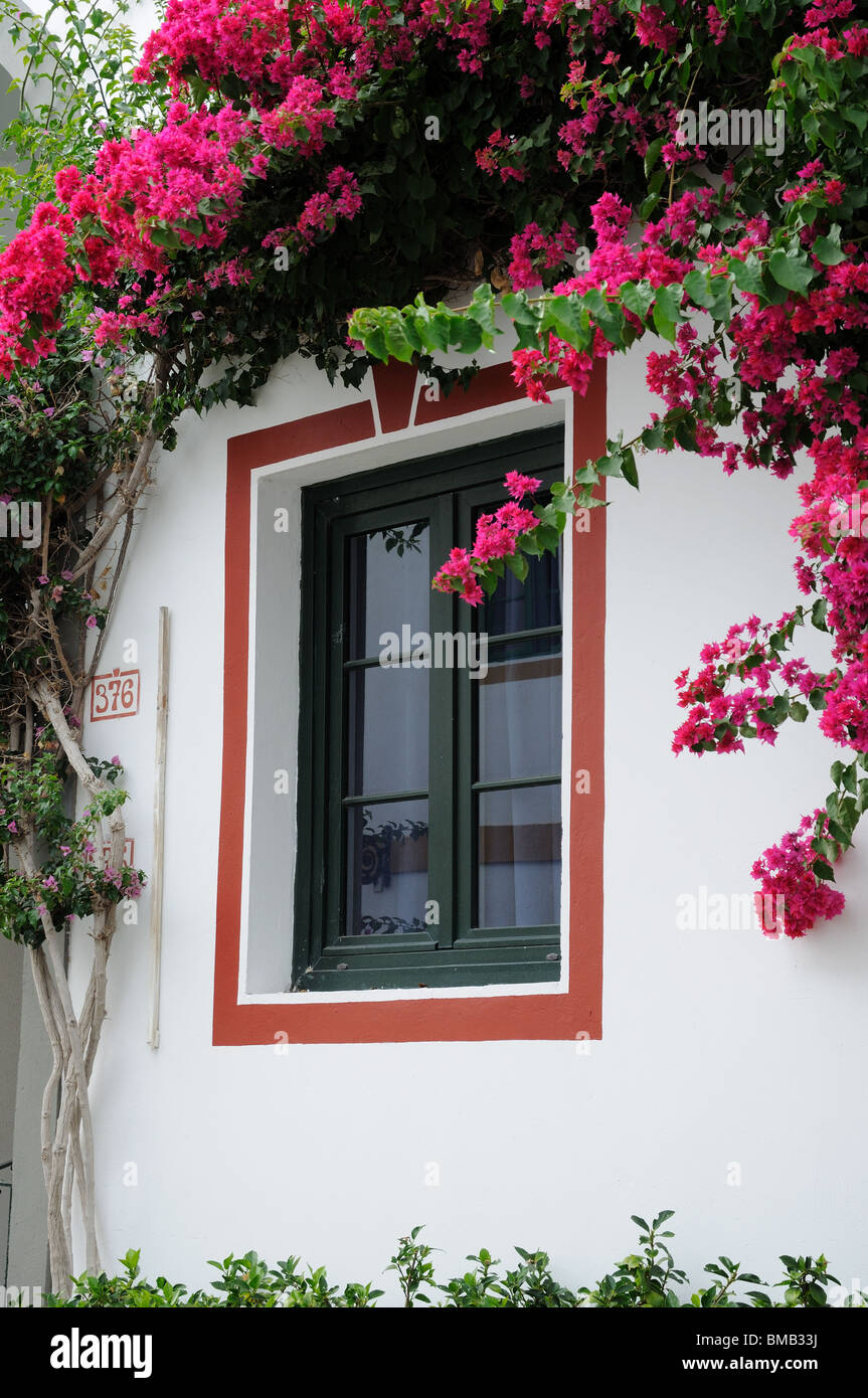 Finestra in Puerto de Mogan, Gran Canarie Spagna Foto Stock