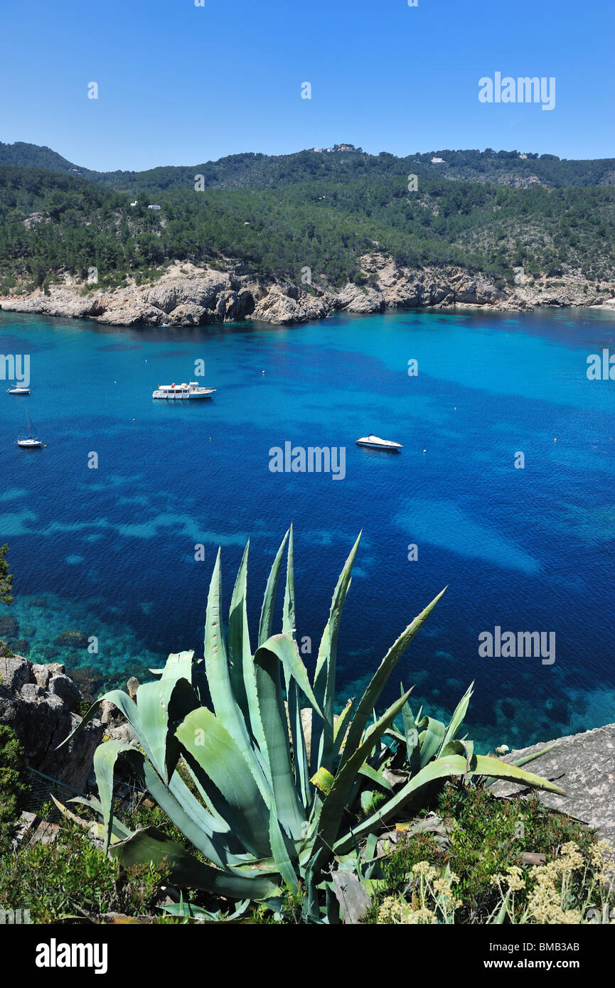 Bella Baia in Port de Sant Miquel, Ibiza spagna Foto Stock