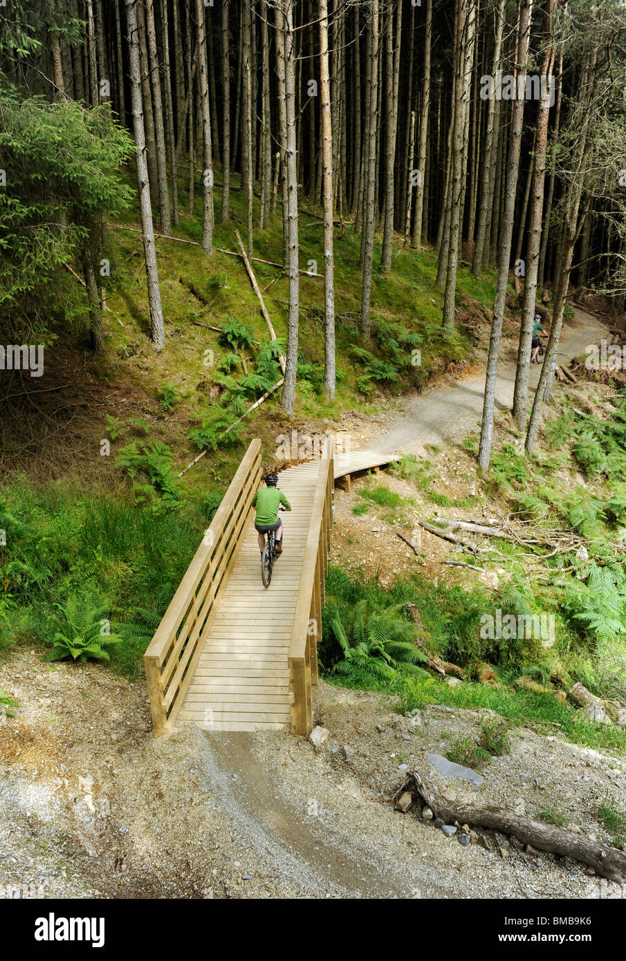 Il Quercus mountain bike trail Whinlatter foresta, Lake District inglese Foto Stock