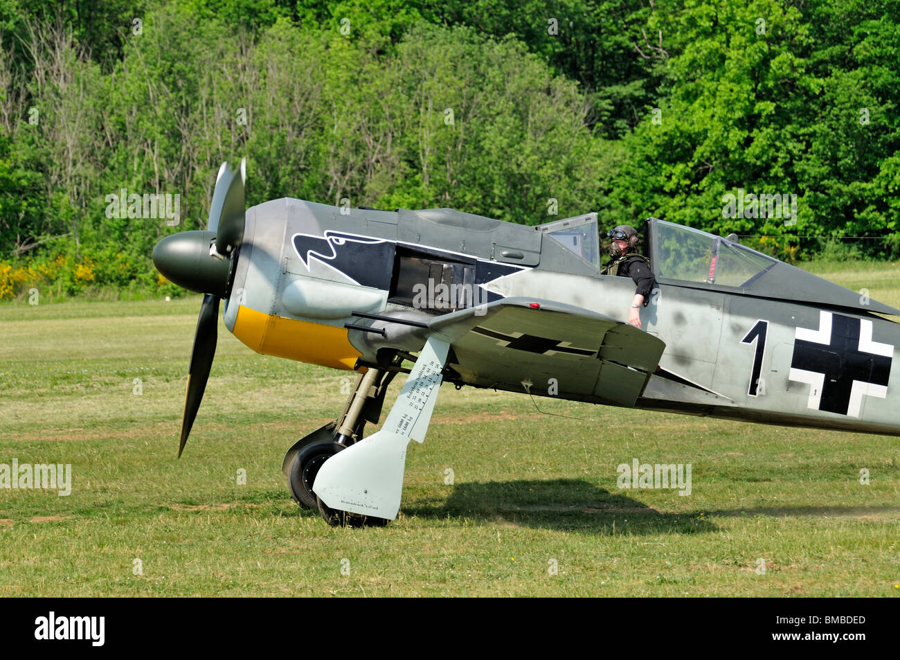 Focke Wulf Fw 190 DURANTE LA SECONDA GUERRA MONDIALE Foto Stock