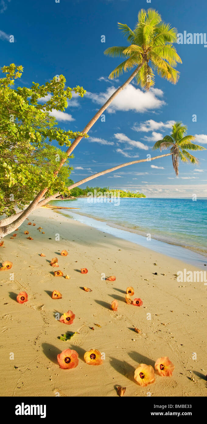 Tropical Beach, Huahine, Polinesia Francese Foto Stock