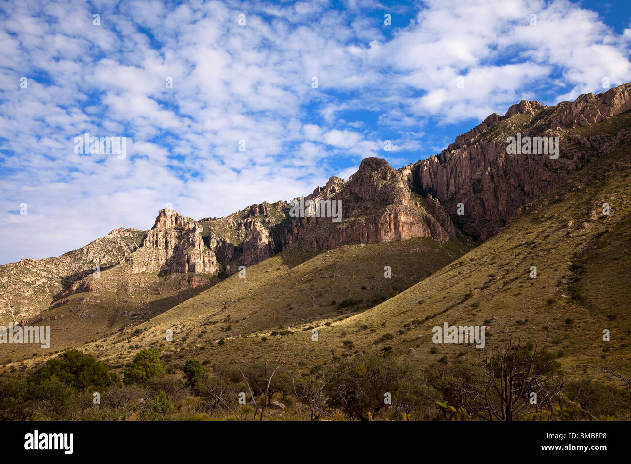 Parco Nazionale delle Montagne Guadalupe Texas USA Foto Stock